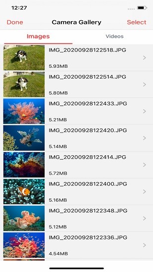 reefmaster手機版