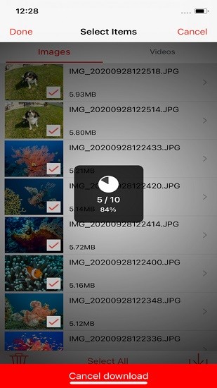 reefmaster app(rm-4k水下相機) v1.4.6 安卓版 3