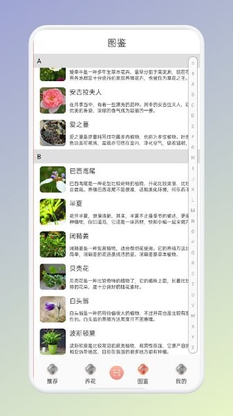 拍照識花識別植物app v1.1 安卓版 1