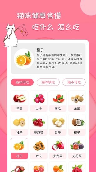人貓翻譯神器 v2.2.4 安卓版 1