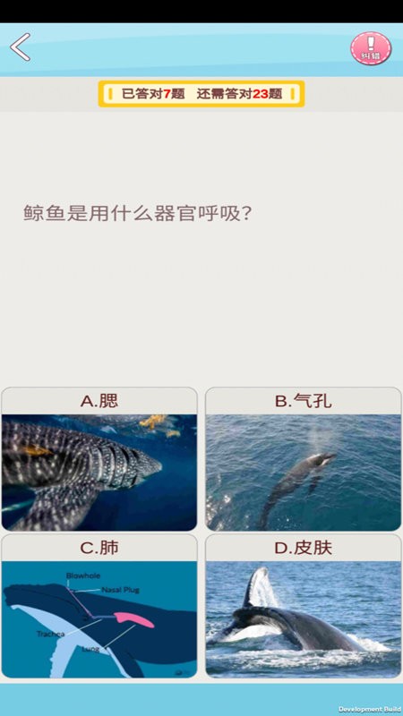 AR幻石學(xué)院軟件 v1.0.1 安卓版 1