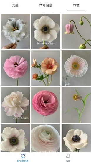 鮮花知識星球 v1.0 安卓版 3