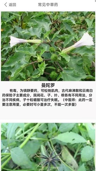 要健康 v1.1 安卓版 2
