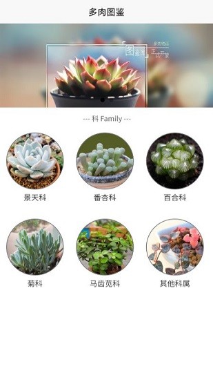 潮句多肉植物匯app下載