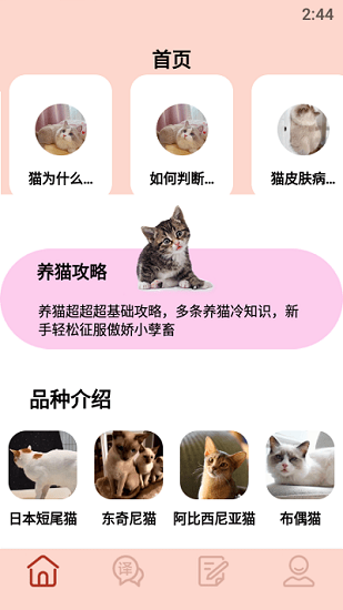 摸摸小貓手機(jī)版 v1.1 安卓版 2