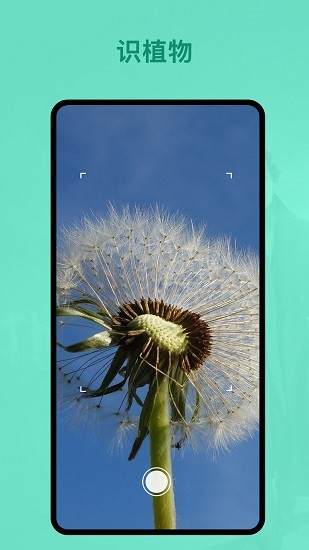 識(shí)植物軟件 v1.0.1 安卓版 2