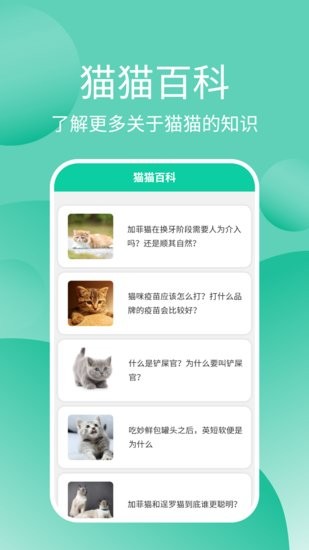 貓貓交流器app