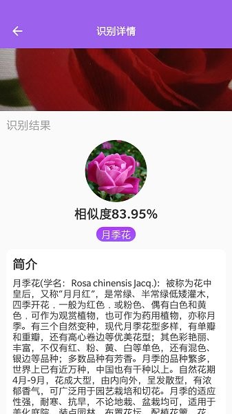 隨手拍照識別 v1.0.9 安卓版 1