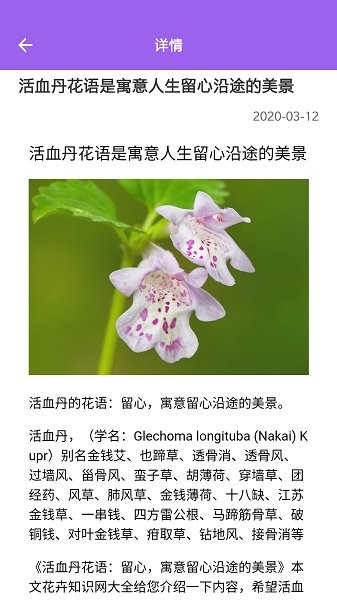 隨手拍照識別 v1.0.9 安卓版 2