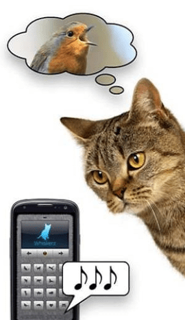 人寵交流器app v1.1 安卓中文版 1