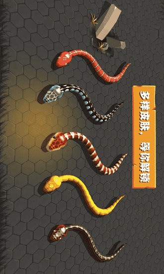亂斗貪吃蛇手游 v1.0 安卓版 0