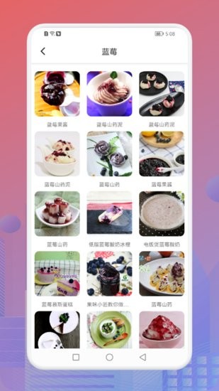 小賣部的藍(lán)莓醬食譜軟件 v1.1 安卓版 2