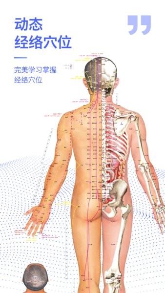 人體3D解剖圖譜手機(jī)版 v2.0.7 安卓版 1