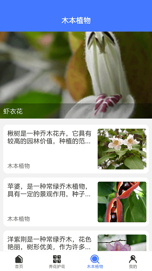 好用拍照識別軟件 v1.0.4 安卓版 1