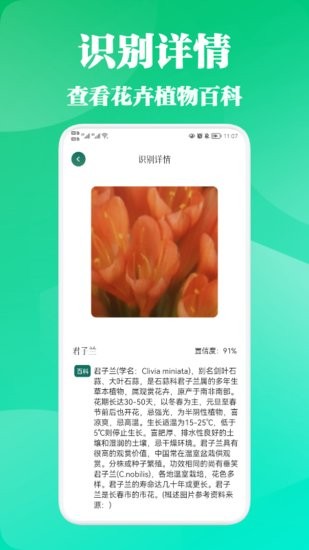 三葉草植物識別 v1.1 安卓版 0