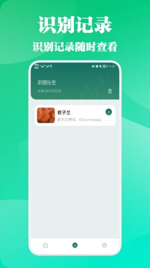 三葉草植物識別 v1.1 安卓版 1