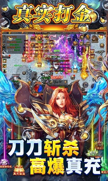 義戰(zhàn)龍城變態(tài)版手游 v1.4 安卓版 3