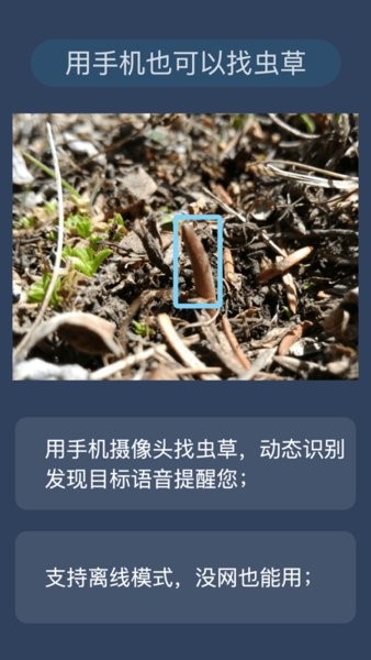 幸運(yùn)之眼蟲(chóng)草挖掘工具