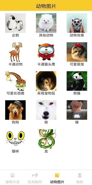 貓狗寵物大全 v2.0.2 安卓版 1