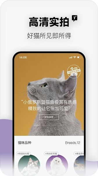 隨它2