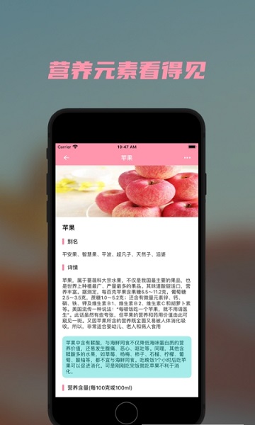 懶豬營(yíng)養(yǎng)2