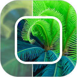 模糊照片修復(fù)app