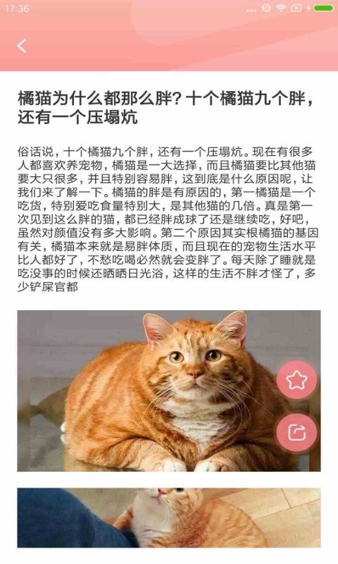 寵物公社手機(jī)版 寵物公社app下載