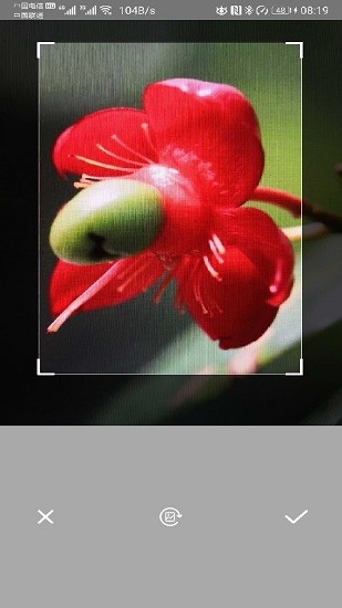 智能拍照識(shí)別app下載