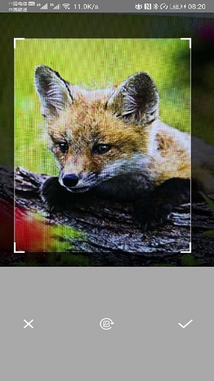 智能拍照識(shí)別萬物 v2.5 安卓版 2