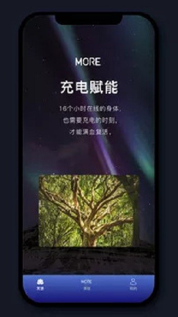 墨爾大學(xué)(More冥想)4
