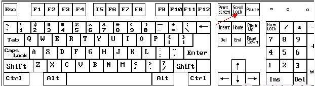 scroll lock鍵在哪？