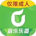 學(xué)音樂樂器