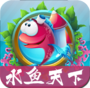 興義水魚撲克牌游戲