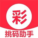 挑碼助手軟件2024