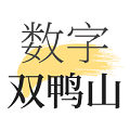 數(shù)字雙鴨山