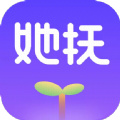 她撫孕育