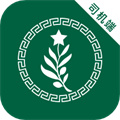 橄欖綠司機