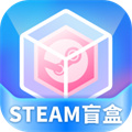 steam盲盒