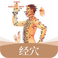 經(jīng)絡(luò)穴位標(biāo)準(zhǔn)指南