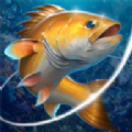釣魚挑戰(zhàn)賽