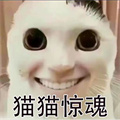 貓鼠特工貓貓驚魂