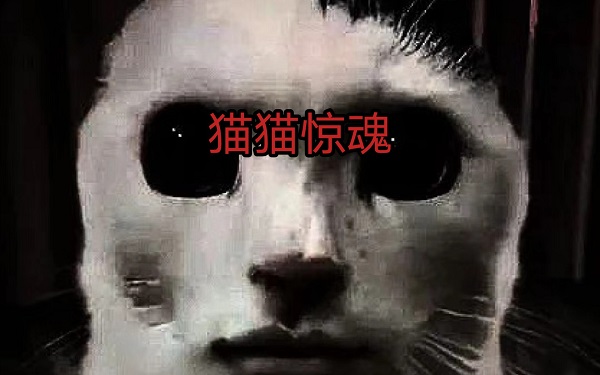 貓貓?bào)@魂正版下載-貓貓?bào)@魂免費(fèi)下載-貓貓?bào)@魂版本大全