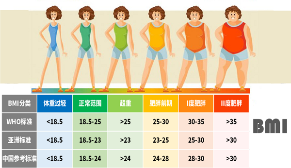 bmi計(jì)算器