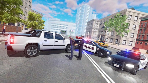 警察查車