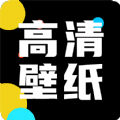 靈貓桌面壁紙