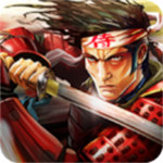 武士2復(fù)仇中文版