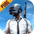 pubg國(guó)際服體驗(yàn)服手游