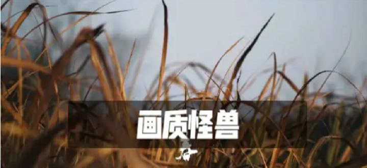 畫質(zhì)怪獸