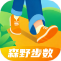 森野步數(shù)
