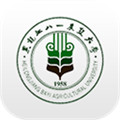八一農大